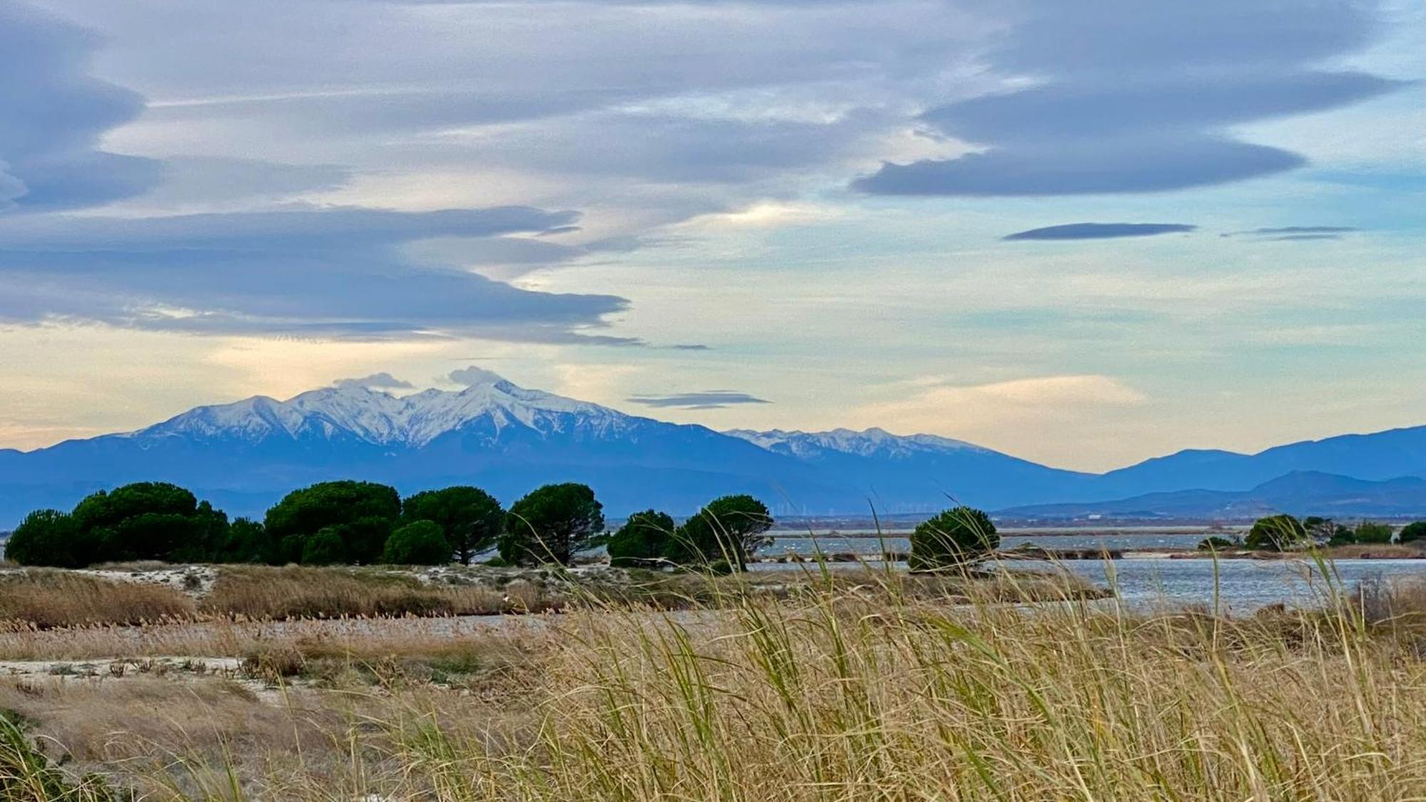 Votre pied à terre entre mer et montagne Le Barcarès Exterior foto